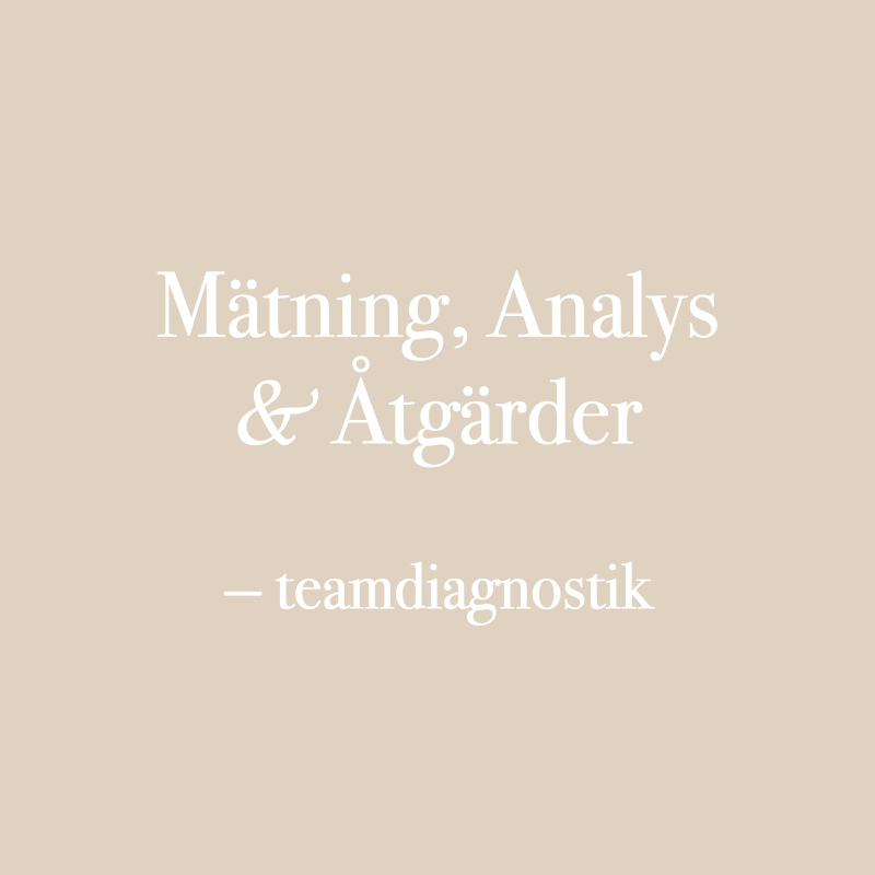 GDQ — teamdiagnostik (mätning, analys och åtgärder)