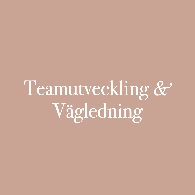 Teamutveckling & Vägledning
