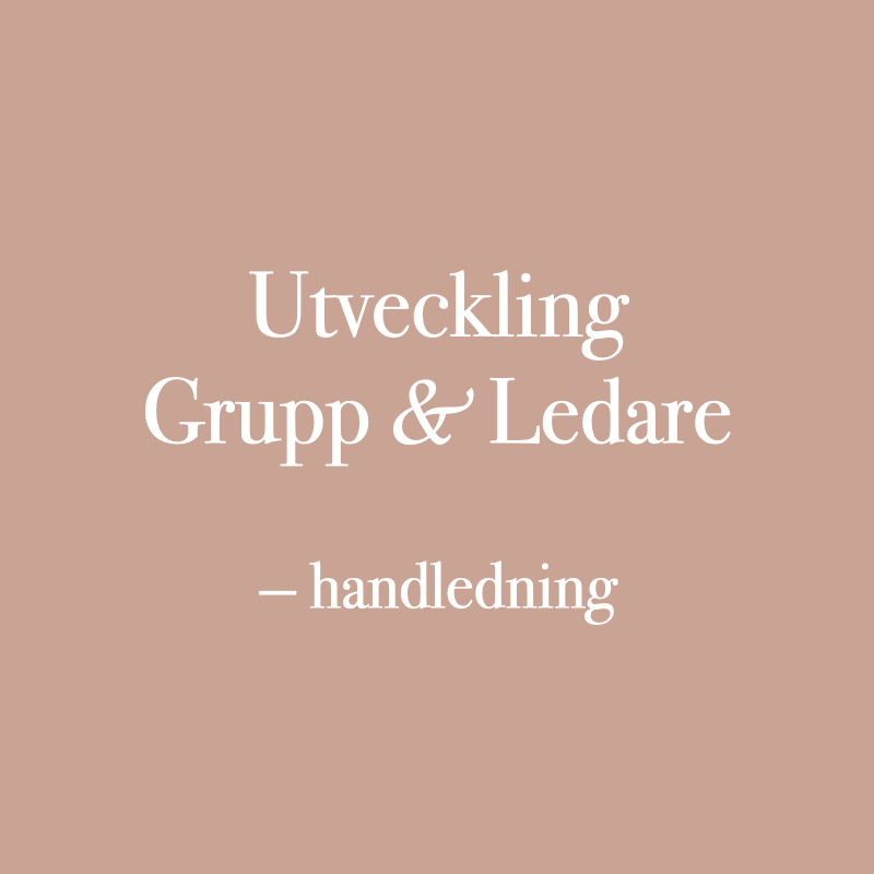 UGL Handledning